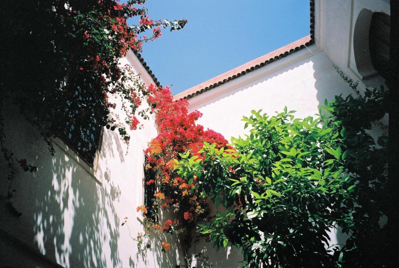 La Porte Bleue - 2 Chambres Riad