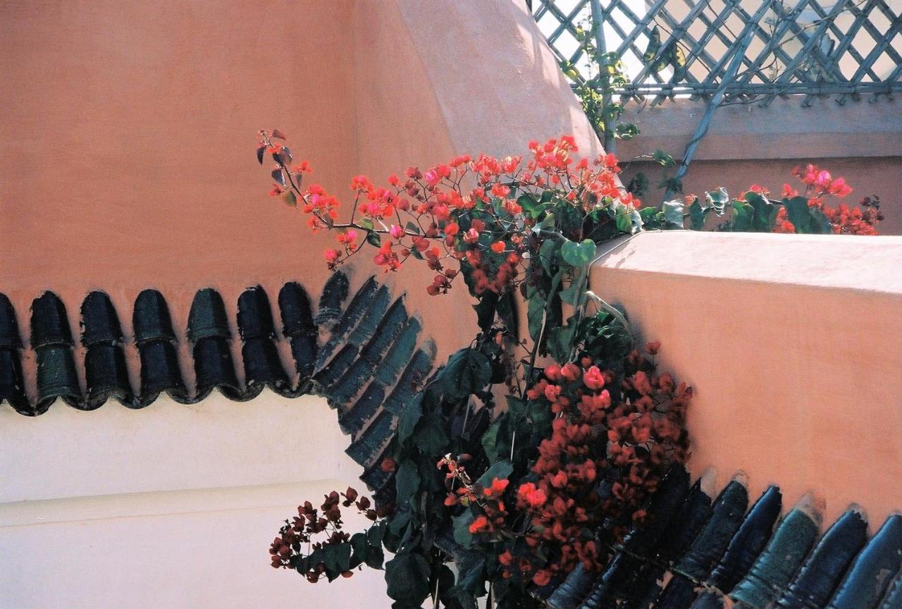 Riad La Porte Bleue - 2 Chambres